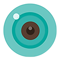 icsee logo